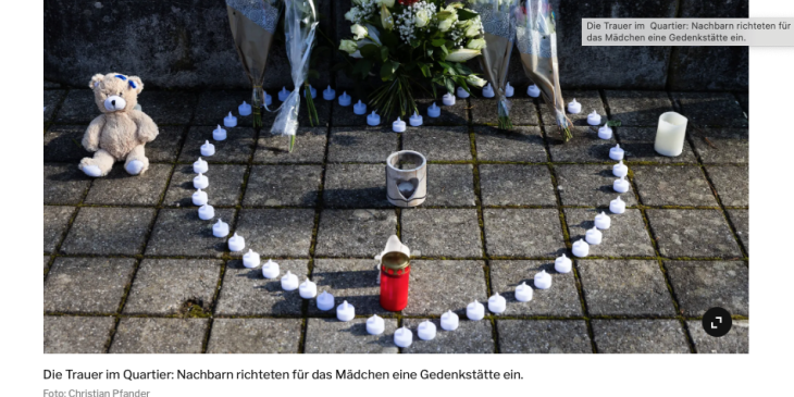 Screenshot Tages-Anzeiger